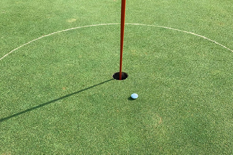 高爾夫球教練和我老婆「一桿進洞」